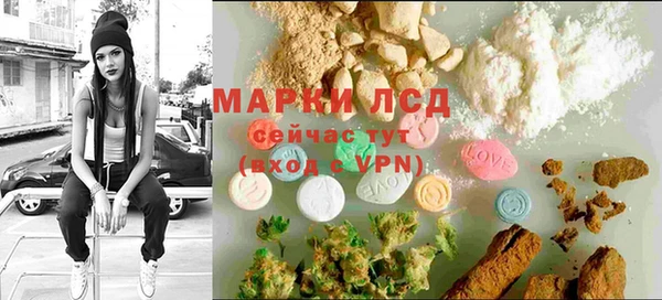 эйфоретик Баксан