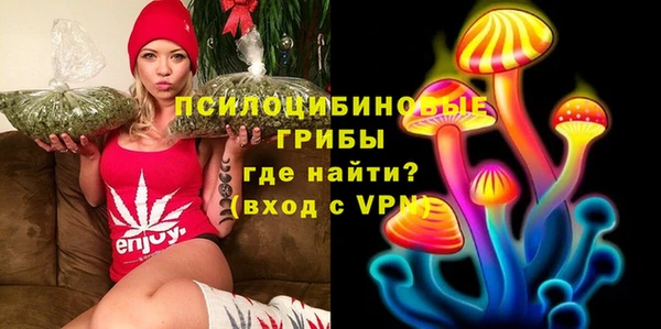 эйфоретик Баксан