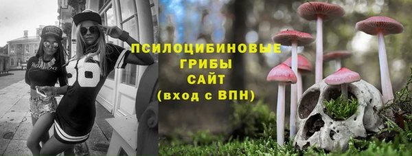 молекула духа Россошь