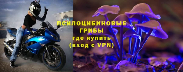эйфоретик Баксан